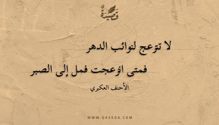 قصيدة لا تنزعج لنوائب الدهر