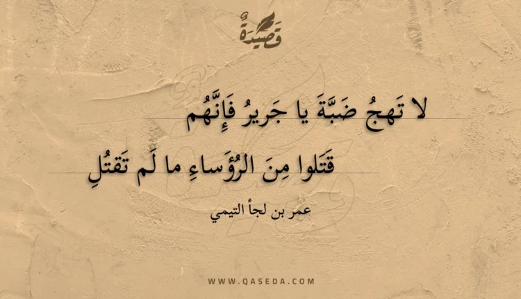 قصيدة لا تهج ضبة يا جرير فإنهم