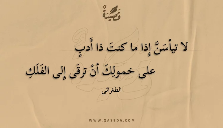 قصيدة لا تيأسن إذا ما كنت ذا أدب