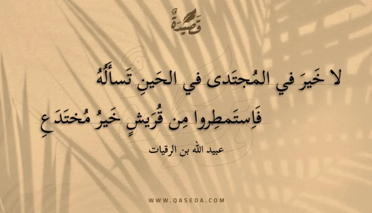 قصيدة لا خير في المجتدى في الحين تسأله