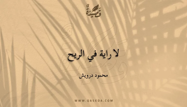 قصيدة لا راية في الريح
