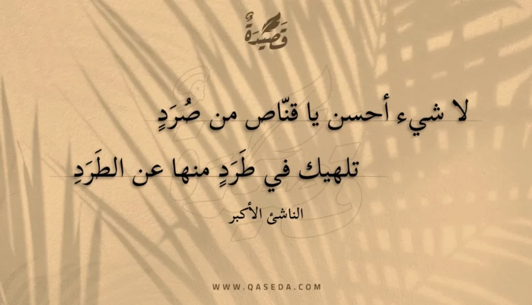 قصيدة لا شيء أحسن يا قناص من صرد