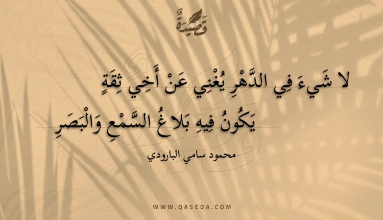 قصيدة لا شيء في الدهر يغني عن أخي ثقة