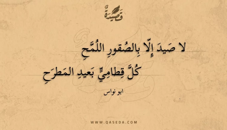 قصيدة لا صيد إلا بالصقور اللمح