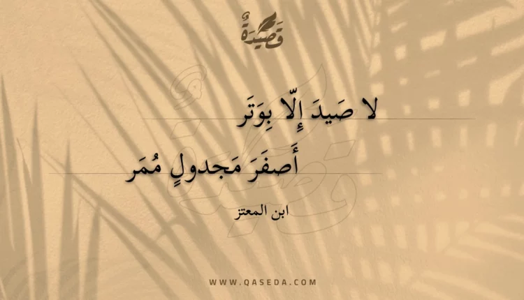 قصيدة لا صيد إلا بوتر