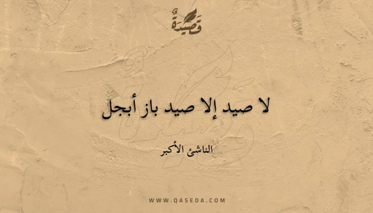 قصيدة لا صيد إلا صيد باز أبجل