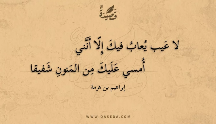 قصيدة لا عيب يعاب فيك إلا أنني