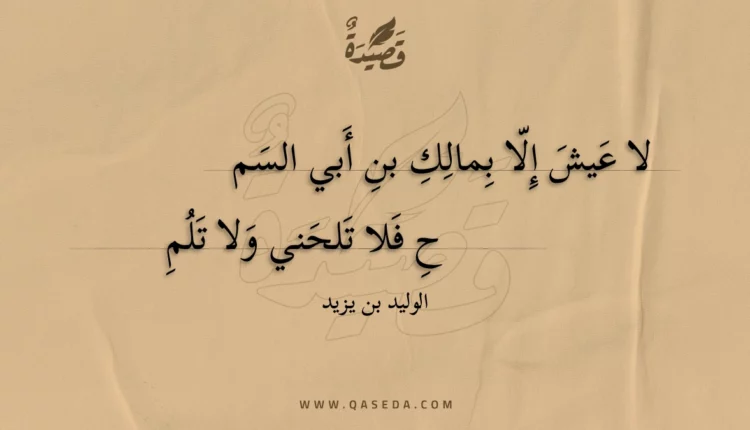 قصيدة لا عيش إلا بمالك بن أبي السمح
