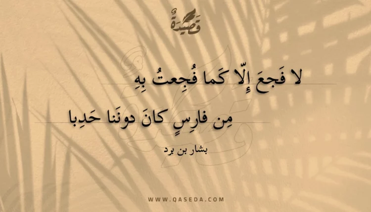 قصيدة لا فجع إلا كما فجعت به