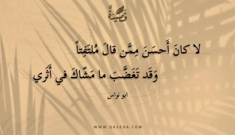 قصيدة لا كان أحسن ممن قال ملتفتا