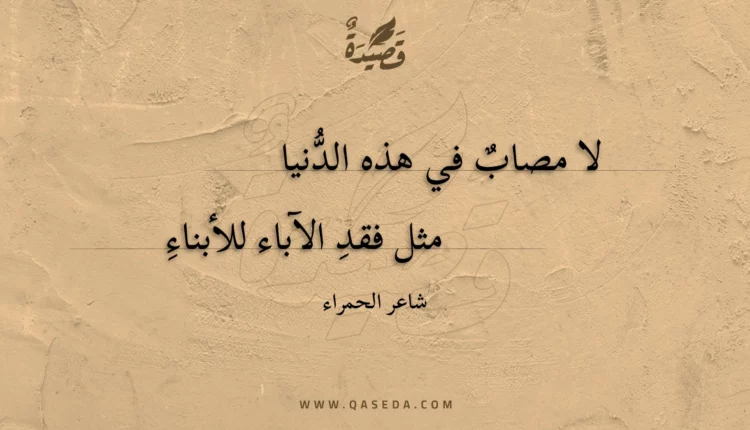قصيدة لا مصاب في هذه الدنياء