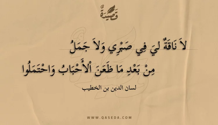 قصيدة لا ناقة لي في صبري ولا جمل