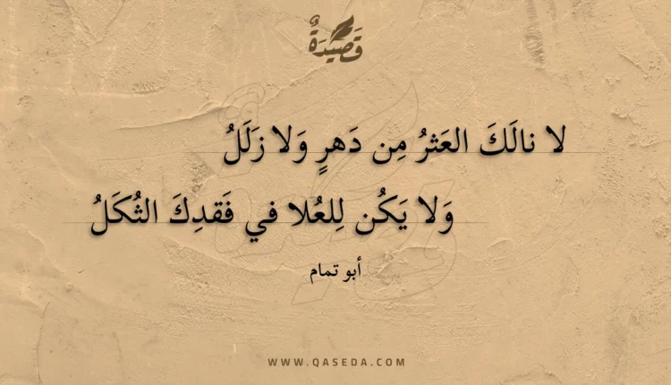 قصيدة لا نالك العثر من دهر ولا زلل
