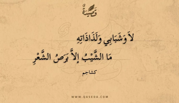 قصيدة لا وشبابي ولذاذاته