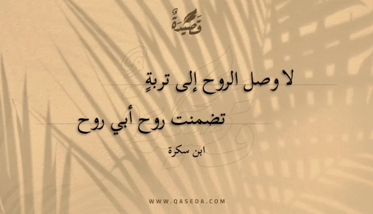 قصيدة لا وصل الروح إلى تربة