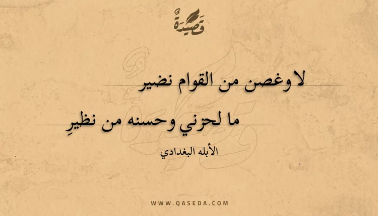 قصيدة لا وغصن من القوام نضير