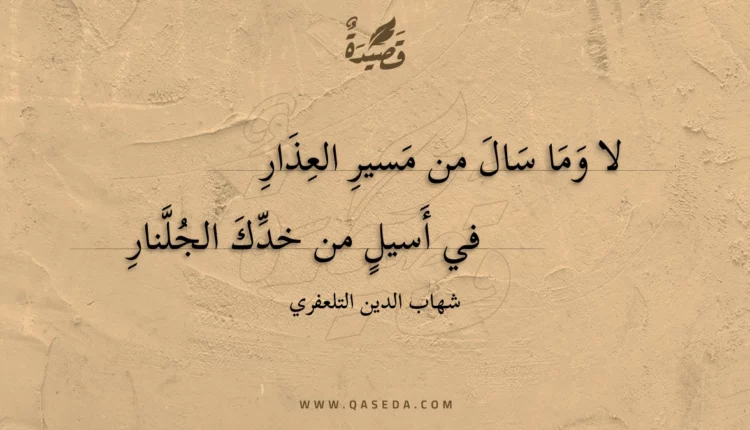 قصيدة لا وما سال من مسير العذار