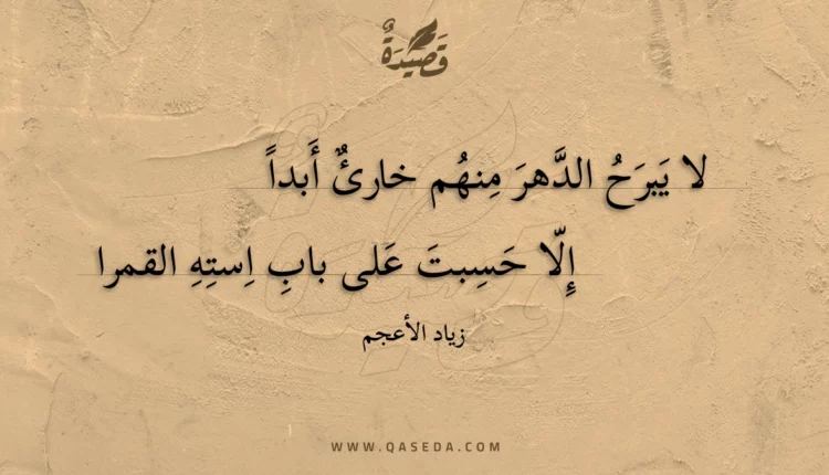 قصيدة لا يبرح الدهر منهم خارئ أبدا