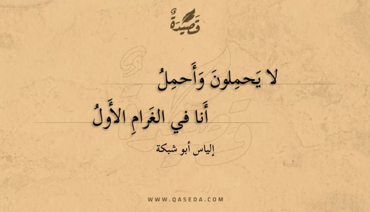 قصيدة لا يحملون وأحمل