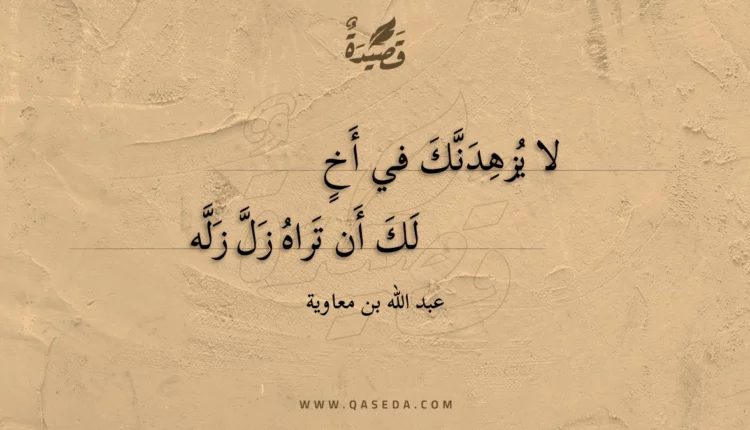قصيدة لا يزهدنك في أخ