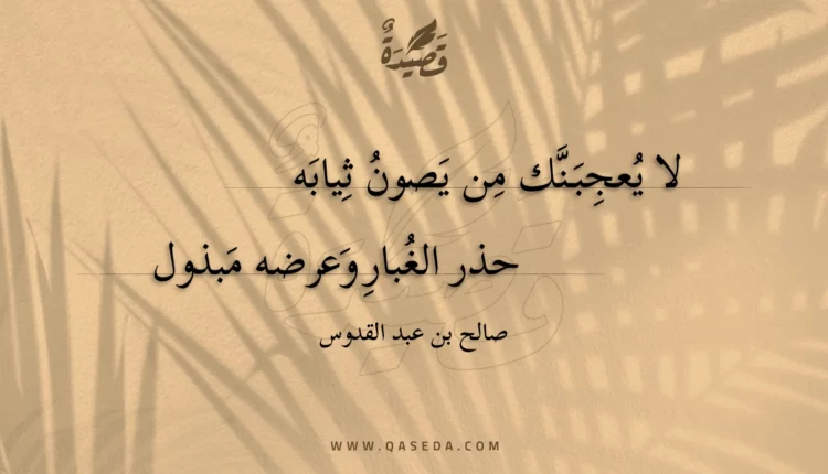 قصيدة لا يعجبنك من يصون ثيابه