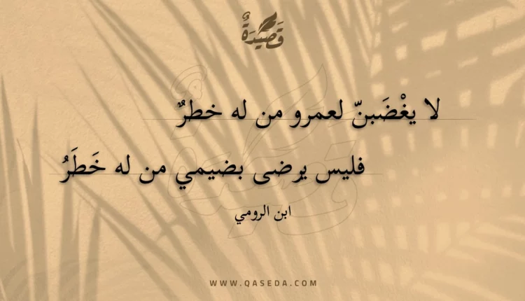 قصيدة لا يغضبن لعمرو من له خطر