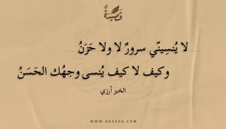 قصيدة لا ينسيني سرور لا ولا حزن