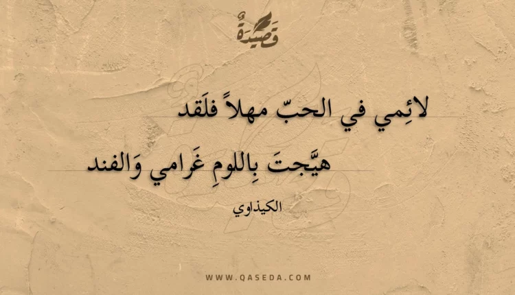 قصيدة لائمي في الحب مهلا فلقد