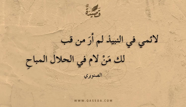قصيدة لائمي في النبيذ لم أر من قبلك