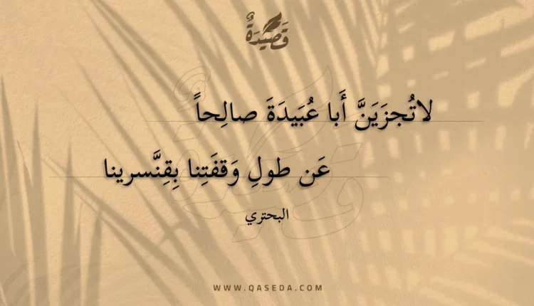 قصيدة لاتجزين أبا عبيدة صالحا