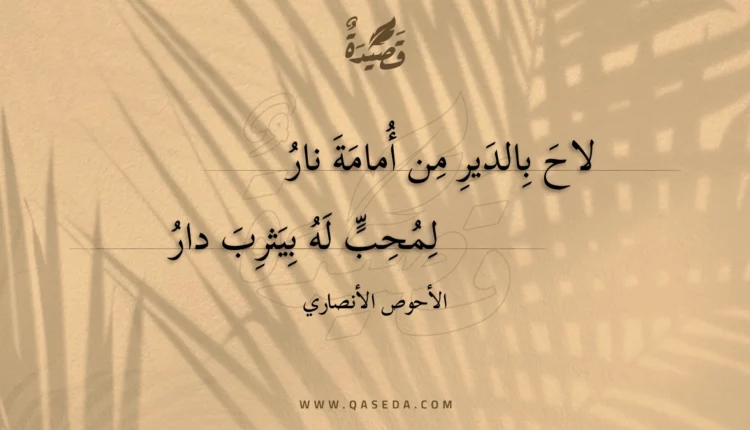 قصيدة لاح بالدير من أمامة نار