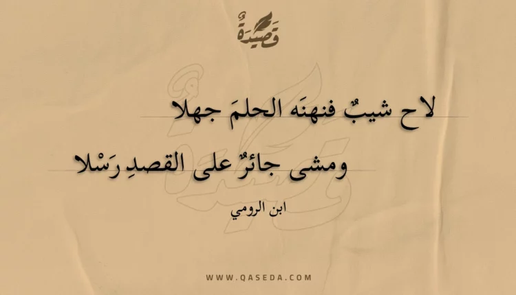 قصيدة لاح شيب فنهنه الحلم جهلا