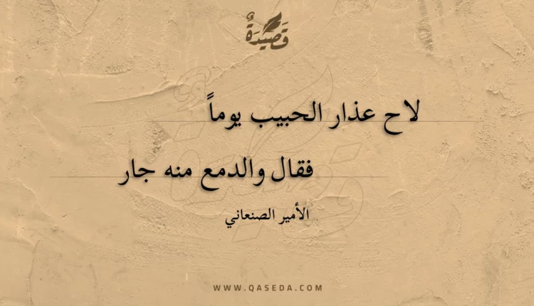 قصيدة لاح عذار الحبيب يوما