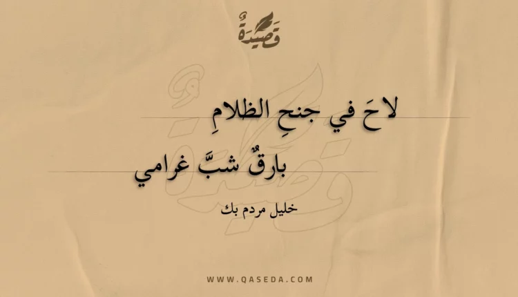 قصيدة لاح في جنح الظلام