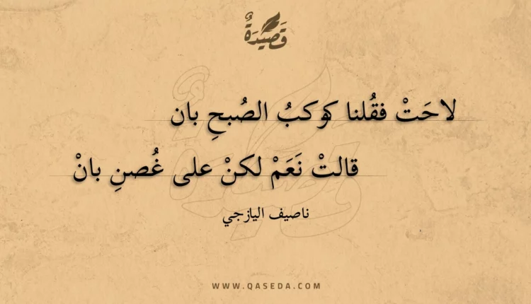 قصيدة لاحت فقلنا كوكب الصبح بان