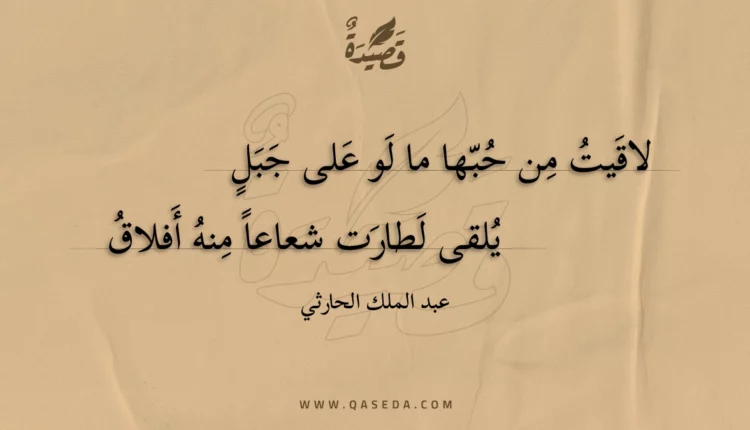 قصيدة لاقيت من حبها ما لو على جبل