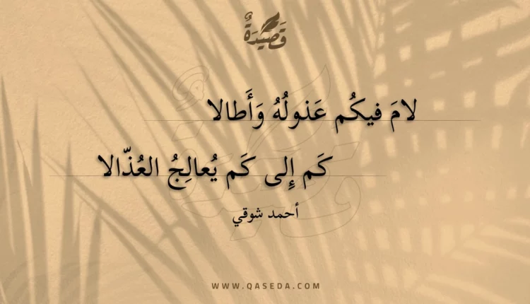 قصيدة لام فيكم عذوله وأطالا