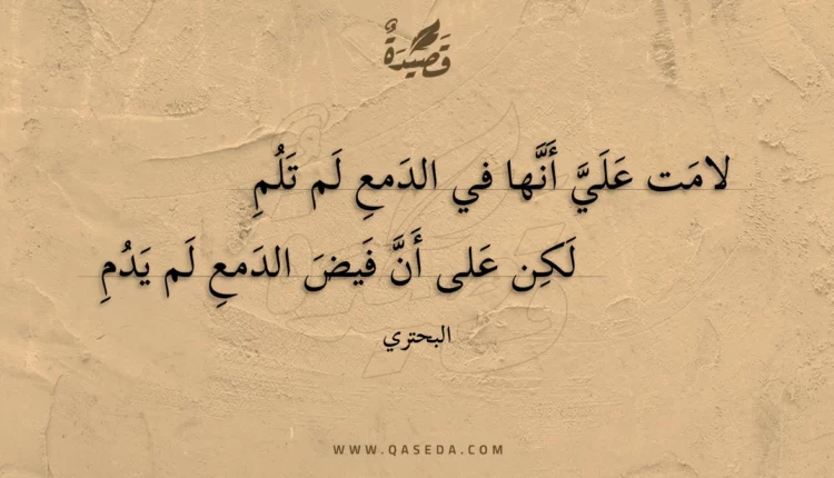 قصيدة لامت علي أنها في الدمع لم تلم