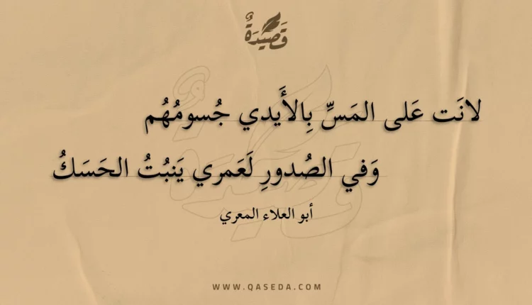 قصيدة لانت على المس بالأيدي جسومهم