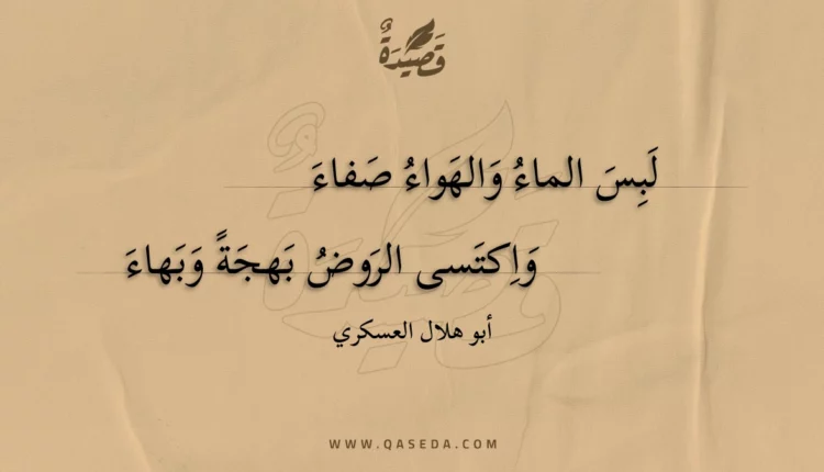 قصيدة لبس الماء والهواء صفاء