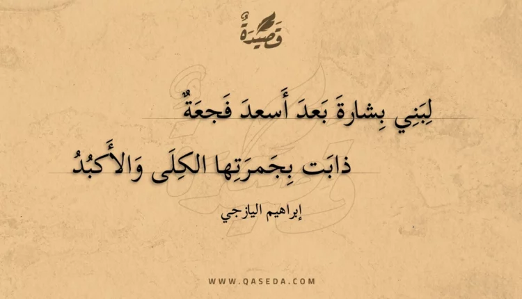 قصيدة لبني بشارة بعد أسعد فجعة