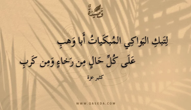 قصيدة لتبك البواكي المبكيات أبا وهب