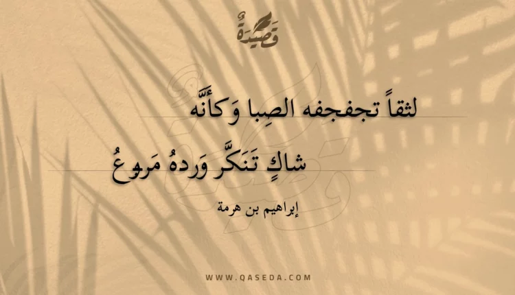 قصيدة لثقا تجفجفه الصبا وكأنه