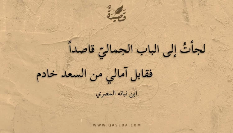 قصيدة لجأت إلى الباب الجمالي قاصدا