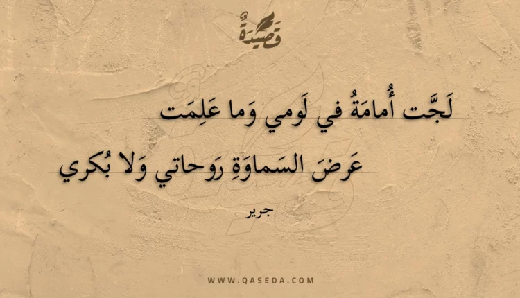 قصيدة لجت أمامة في لومي وما علمت