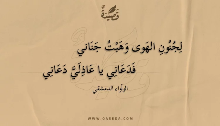 قصيدة لجنون الهوى وهبت جناني