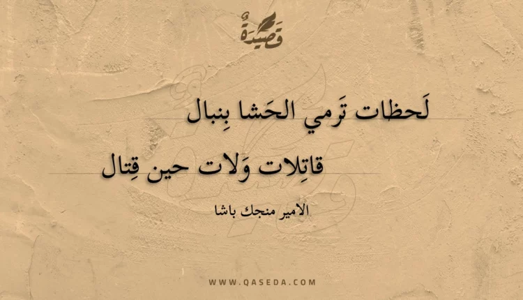 قصيدة لحظات ترمي الحشا بنبال