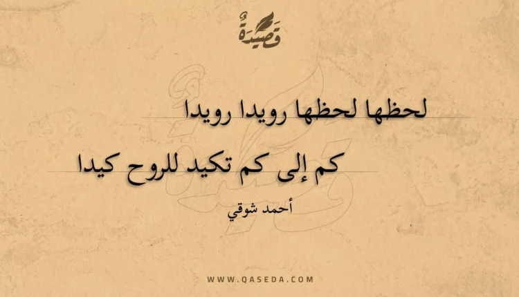 قصيدة لحظها لحظها رويدا رويدا