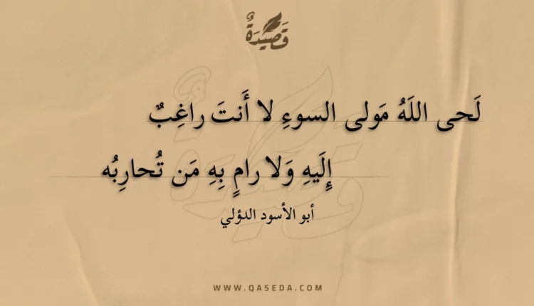 قصيدة لحى الله مولى السوء لا أنت راغب