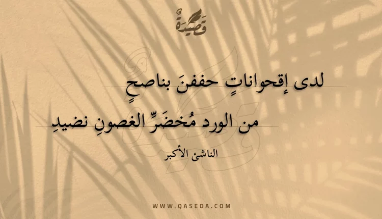 قصيدة لدى إقحوانات حففن بناصح